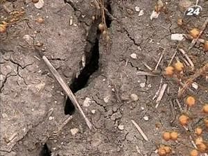 ООН: в этом году фермерам следует ожидать небывалую засуху ООН: в этом году фермерам следует ожидать небывалую засуху