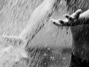 Завтра в некоторых регионах прогнозируют дожди Завтра в некоторых регионах прогнозируют дожди