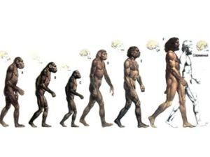 Люди еволюціонують повільніше, ніж вважалося