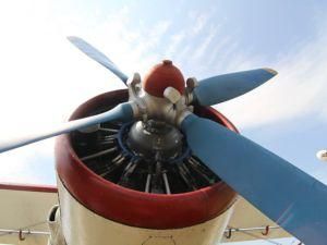 У Житомирі закінчився авіазліт імені Корольова У Житомирі закінчився авіазліт імені Корольова