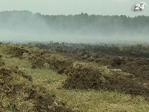 Под Киевом третий день горят торфяники Под Киевом третий день горят торфяники