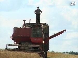 Урожай зерна может составить 45-48 млн. тонн Урожай зерна может составить 45-48 млн. тонн