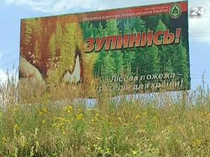 Крим: повністю забороняти відпочинок в лісі не будуть