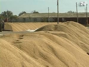 Україна продає лівійським повстанцям зерно Україна продає лівійським повстанцям зерно