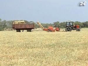 У 2011 році зернових планують зібрати більше 45 млн. тонн У 2011 році зернових планують зібрати більше 45 млн. тонн