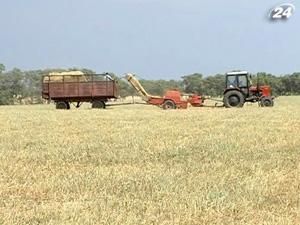 В 2011 году зерновых планируют собрать более 45 млн. тонн
