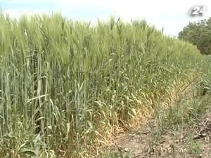 Спірні землі Київщини залишили у власності держави Спірні землі Київщини залишили у власності держави