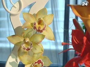Марія Шрамко створює квіткові композиції з цукрової маси