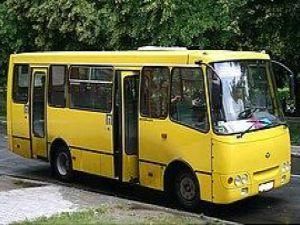 Тернополь: С вышиванкой бесплатно в транспорте Тернополь: С вышиванкой бесплатно в транспорте