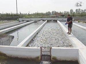 НБУ назвав найбільш проблемних боржників НБУ назвав найбільш проблемних боржників