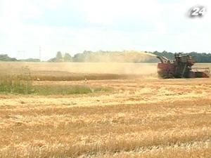 Банкіри активізують кредитування вітчизняних аграріїв Банкіри активізують кредитування вітчизняних аграріїв
