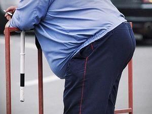 В российскую полицию не возьмут толстых и пузатых В российскую полицию не возьмут толстых и пузатых