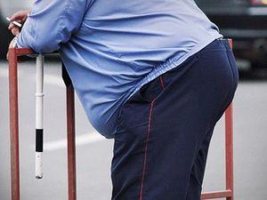 В российскую полицию не возьмут толстых и пузатых