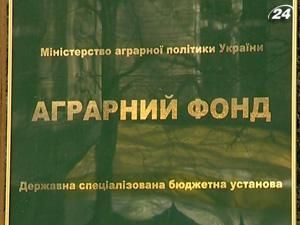 Аграрний фонд 30 червня розпочинає закупівлі зерна Аграрний фонд 30 червня розпочинає закупівлі зерна