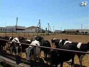 В Україні сповільнюється приріст агропродукції В Україні сповільнюється приріст агропродукції