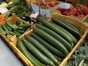 Іспанія спростовує інформацію про смертельно небезпечні огірки Іспанія спростовує інформацію про смертельно небезпечні огірки
