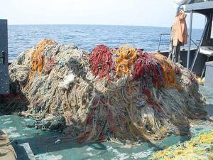 В Азовском море временно запрещен вылов рыбы В Азовском море временно запрещен вылов рыбы