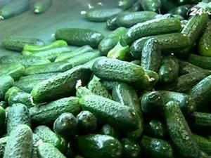 "Огіркова війна" набирає обертів "Огіркова війна" набирає обертів