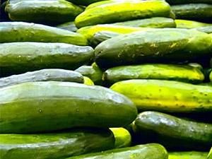 Украина усилила контроль за ввозом "испанских огурцов" Украина усилила контроль за ввозом "испанских огурцов"