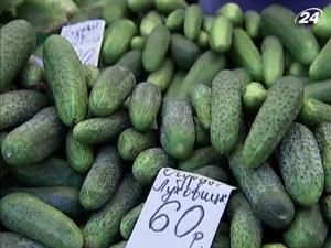 РФ полностью запретила импорт свежих овощей из ЕС