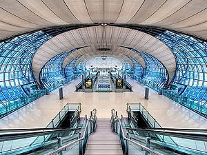 Бангкок: в багаже пассажира из Бангладеш обнаружили 450 черепах и 7 крокодилов Бангкок: в багаже пассажира из Бангладеш обнаружили 450 черепах и 7 крокодилов