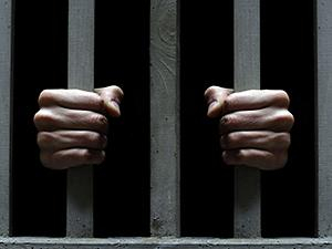 Янукович вернул в Раду закон "Об амнистии в 2011 году" 