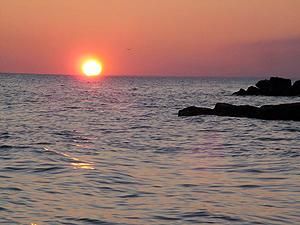 Эксперты: В Азовском море холеры нет Эксперты: В Азовском море холеры нет