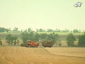 Украина снизила экспорт зерна на 43%