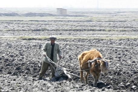 Коммунистическая Корея получит гуманитарную помощь от ЕС Коммунистическая Корея получит гуманитарную помощь от ЕС