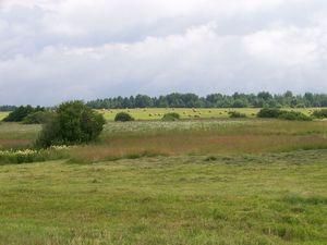 Землю будут продавать по 2000 гектаров в "одни руки" - 4 липня 2011 - Телеканал новин 24 Землю будут продавать по 2000 гектаров в "одни руки" - 4 липня 2011 - Телеканал новин 24