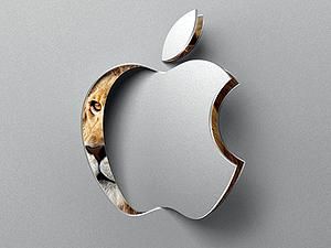 Mac OS X 10.7 Lion виклали на торрентах до офіційного релізу Mac OS X 10.7 Lion виклали на торрентах до офіційного релізу