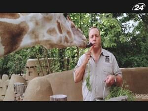 "Зоонаглядач": заради наглядача тварини порушують обітницю мовчання - 5 липня 2011 - Телеканал новин 24 "Зоонаглядач": заради наглядача тварини порушують обітницю мовчання - 5 липня 2011 - Телеканал новин 24