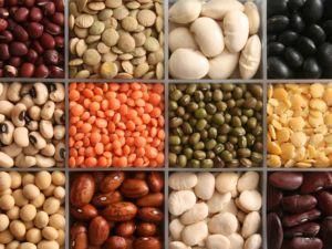 ЕС запретил импорт семян и бобовых из Египта ЕС запретил импорт семян и бобовых из Египта