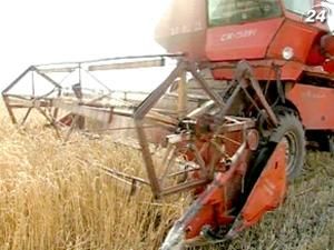 Мінагропрод підтвердив прогноз врожаю - 45 млн. тонн Мінагропрод підтвердив прогноз врожаю - 45 млн. тонн