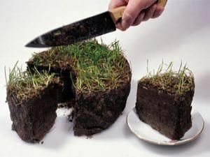 Рада приняла закон о Государственном земельном кадастре Рада приняла закон о Государственном земельном кадастре