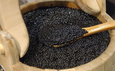 Израиль хочет с Украиной производить черную икру Израиль хочет с Украиной производить черную икру