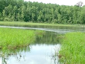 Озеро Нечимне может исчезнуть с карты Украины Озеро Нечимне может исчезнуть с карты Украины