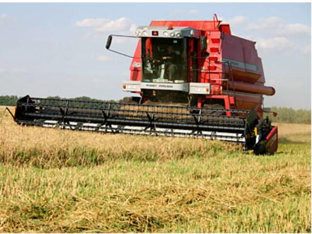 Черкасская область хочет собрать 1,3 млн тонн зерна