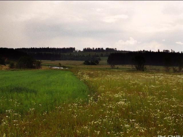 У Криму нарахували 150 тисяч гектарів непотрібної землі У Криму нарахували 150 тисяч гектарів непотрібної землі