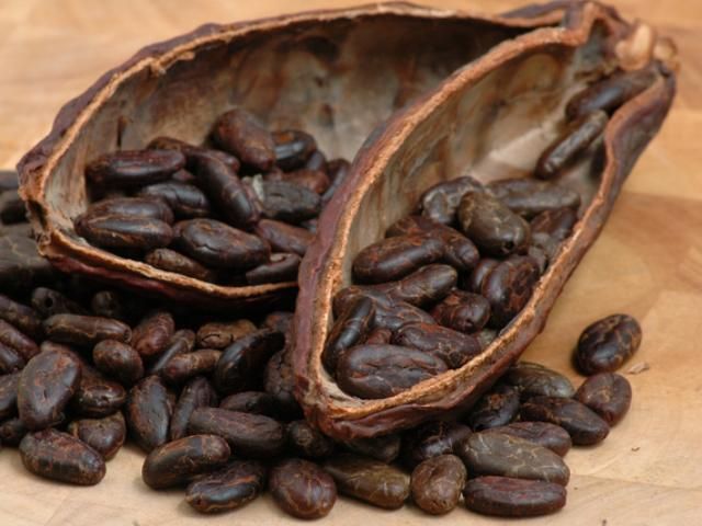 Світ може залишитися без шоколаду Світ може залишитися без шоколаду