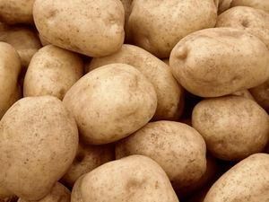 Ученые расшифровали ДНК картофеля и готовятся вывести его новые качественные сорта