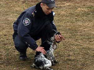 В Запорожской области милиция привлекла кинологов и самолет для поисков 5-летнего мальчика