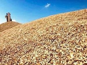 Клюєв прогнозує експорт 20 мільйонів тонн зернових
