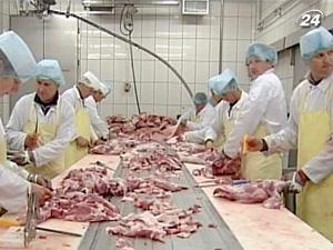 Таможенный союз временно ограничил ввоз продукции из Украины