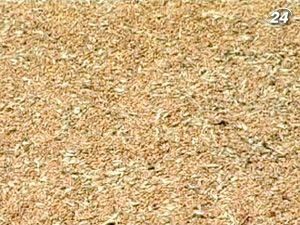 Украина "выбила" у ЕС первую миллионную квоту