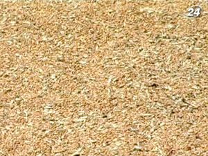 Украина "выбила" у ЕС первую миллионную квоту Украина "выбила" у ЕС первую миллионную квоту