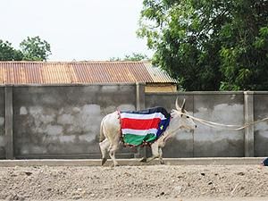 Світовий банк виділить 75 мільйонів доларів для Південного Судану Світовий банк виділить 75 мільйонів доларів для Південного Судану