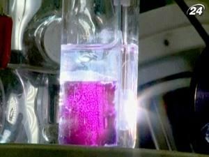 Итальянцы создают искусственную систему фотосинтеза Итальянцы создают искусственную систему фотосинтеза