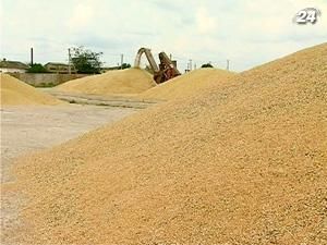 Аграрний фонд "актуалізує" закупівлю зерна Аграрний фонд "актуалізує" закупівлю зерна