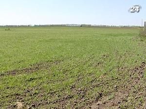 Желающих продать земельные паи - всего 12% Желающих продать земельные паи - всего 12%